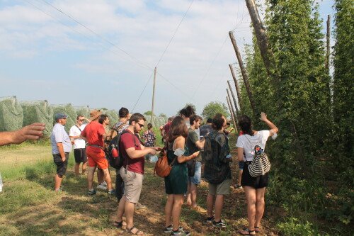 Border Beers - Amidst Hop Fields, Pirate Brewers, and Mountain Herbs
